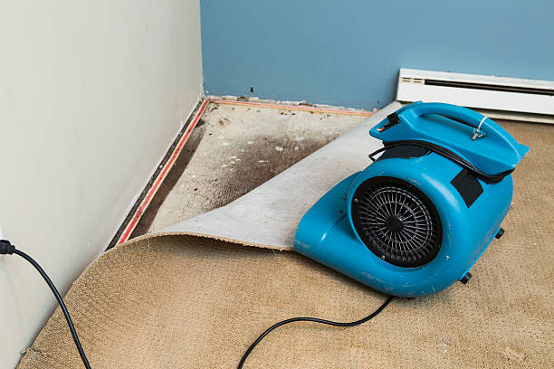 Best Sewage cleanup and water damage restoration  in Middletown, KY